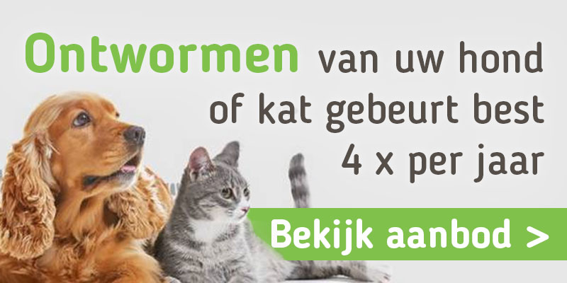 BANNER-ONTWORMEN-V2