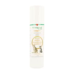 ENISYL F ORALE PASTA KAT 100ML
