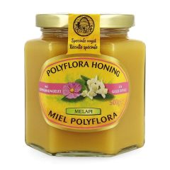 MELAPI POLYFLORA+KONINGINNEBRIJ 500G 5534 REVOGAN