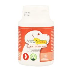 MSM GLUCOSAMINE COMP 100
