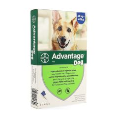 ADVANTAGE 400 HONDEN 25