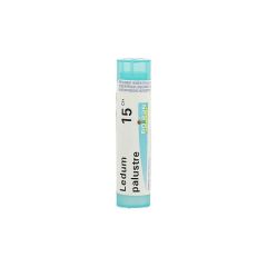 LEDUM PALUSTRE 15CH GR 4G BOIRON