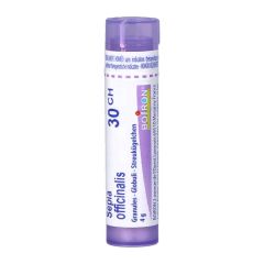SEPIA OFFICINALIS 30CH GR 4G BOIRON