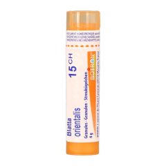 BLATTA ORIENTALIS 15CH GR 4G BOIRON