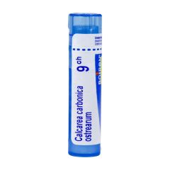 CALCAREA CARBONICA OSTREARUM 9CH GR 4G BOIRON