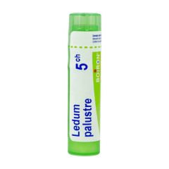 LEDUM PALUSTRE 5CH GR 4G BOIRON
