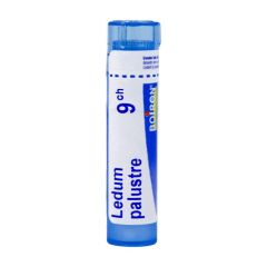 LEDUM PALUSTRE 9CH GR 4G BOIRON