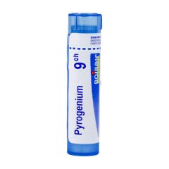 PYROGENIUM 9CH GR 4G BOIRON