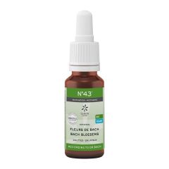 BACHBLOESEM BIO N43 DRUPPELS MOTIVATIE 20ML
