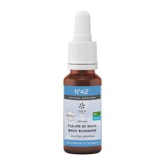 BACHBLOESEM BIO N42 DRUPPELS ZELFVERTROUWEN 20ML