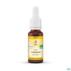 BACHBLOESEM BIO N17 HORNBEAM 20ML