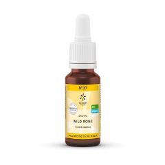 BACHBLOESEM BIO N37 WILD ROSE 20ML