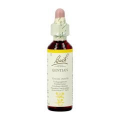 BACH FLOWER REMEDIE 12 GENTIAN 20ML