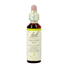 BACH FLOWER REMEDIE 07 CHESTNUT BUD 20ML