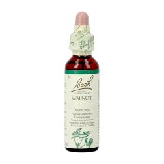 BACH FLOWER REMEDIE 33 WALNUT 20ML