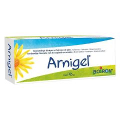 ARNIGEL TUBE 45G BOIRON
