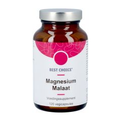 BEST CHOICE MAGNESIUMMALAAT 500 V-CAPS 120 NL