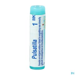 PULSATILLA MK GL BOIRON