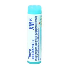 THUYA OCCIDENTALIS XMK GL BOIRON