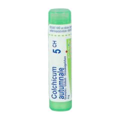 COLCHICUM AUTUMNALE 5CH GR 4G BOIRON