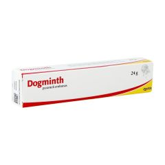 DOGMINTH PATE PASTA VETER 24 G