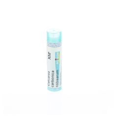 CALCAREA CARBONICA OSTREARUM XMK GR 4G BOIRON