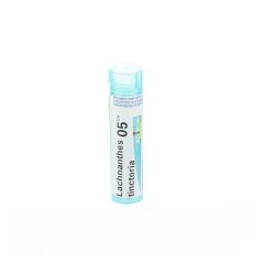 LACHNANTHES TINCTORIA 05CH GR 4G BOIRON