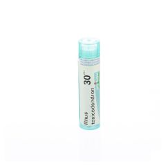 RHUS TOXICODENDRON 30CH GR 4G BOIRON