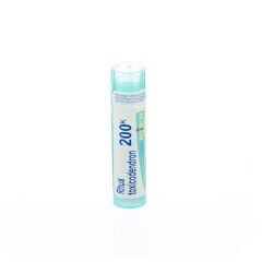 RHUS TOXICODENDRON 200K GR 4G BOIRON