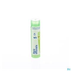 SEPIA OFFICINALIS 5CH GR 4G BOIRON