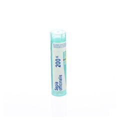 SEPIA OFFICINALIS 200K GR 4G BOIRON