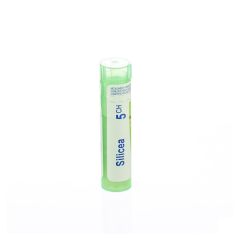 SILICEA 5CH GR 4G BOIRON