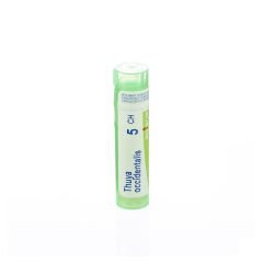 THUYA OCCIDENTALIS 5CH GR 4G BOIRON