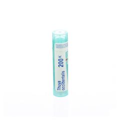 THUYA OCCIDENTALIS 200K GR 4G BOIRON