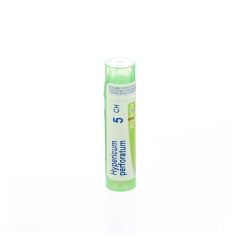 HYPERICUM PERFORATUM 5CH GR 4G BOIRON