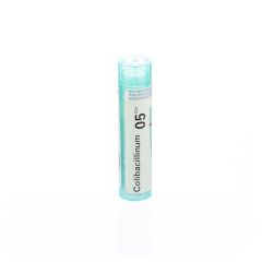 COLIBACILLINUM 05CH GR 4G BOIRON