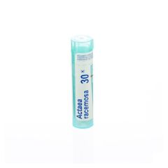 ACTAEA RACEMOSA 30K GR 4G BOIRON