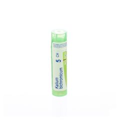 KALIUM BICHROMICUM 5CH GR 4G BOIRON