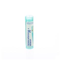 CALCAREA CARBONICA OSTREARUM 30K GR 4G BOIRON