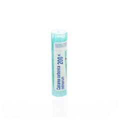 CALCAREA CARBONICA OSTREARUM 200K GR 4G BOIRON