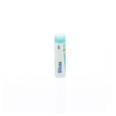 SILICEA MK GL BOIRON