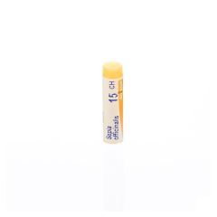 SEPIA OFFICINALIS 15CH GL BOIRON