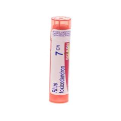 RHUS TOXICODENDRON 7CH GR 4G BOIRON