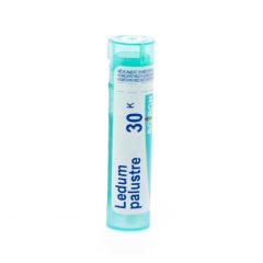 LEDUM PALUSTRE 30K GR 4G BOIRON