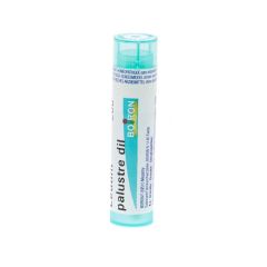 LEDUM PALUSTRE 200K GR 4G BOIRON