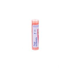 THUYA OCCIDENTALIS 7CH GR 4G BOIRON