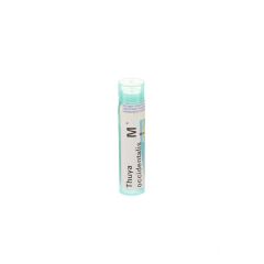 THUYA OCCIDENTALIS MK GR 4G BOIRON