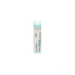 CONIUM MACULATUM 200K GR 4G BOIRON
