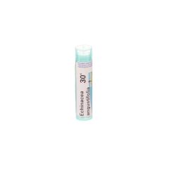 ECHINACEA ANGUSTIFOLIA 30K GR 4G BOIRON