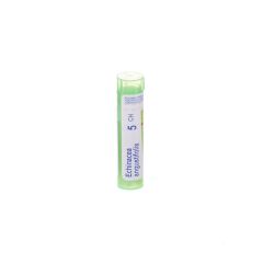 ECHINACEA ANGUSTIFOLIA 5CH GR 4G BOIRON